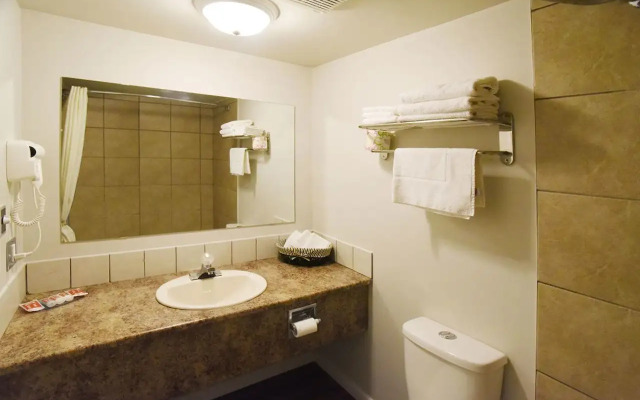 Econo Lodge Inn & Suites