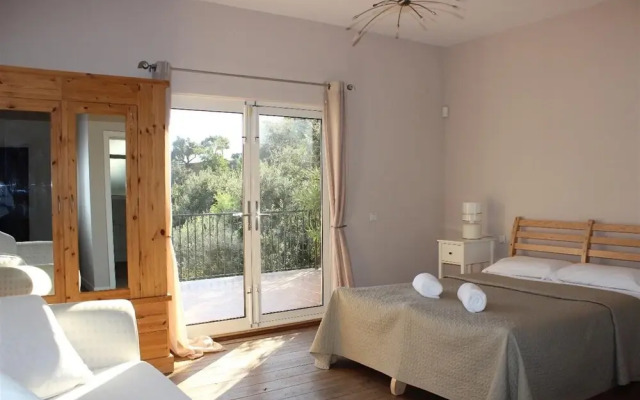 Luxury Villa Near Marbella