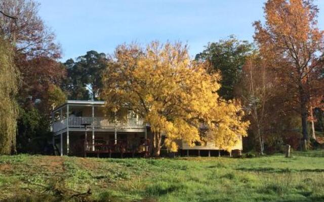 Chestnut Brae Farmstay