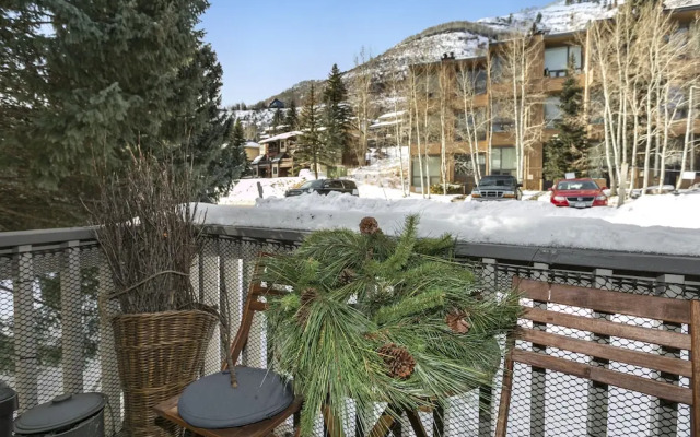 Snowlion Condos 308 2 Bedroom Condo