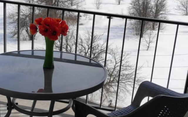 Sunny apartment in Kechi House, Tsaghkadzor