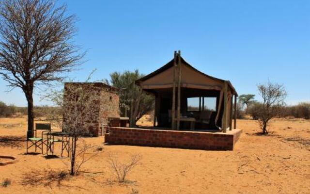 Kalahari Auob Camp