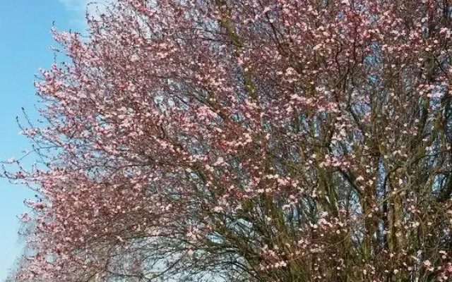 Rhein-Neckar-Hotel Heidelberg