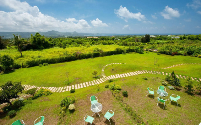 The Tree Bed and Breakfast
