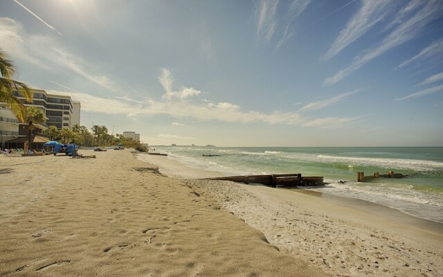 Coquina On The Beach