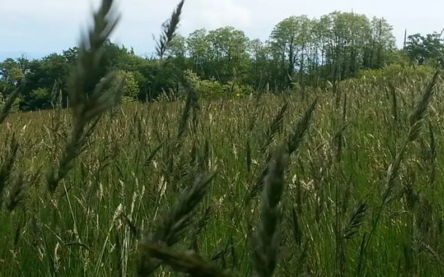 Farmstay Alpagâterie