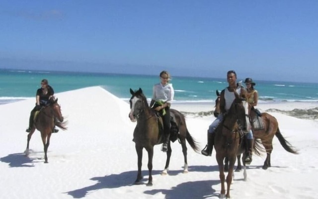 Crayfish Lodge Sea & Country Guest House