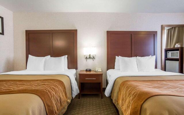 Comfort Inn Elko