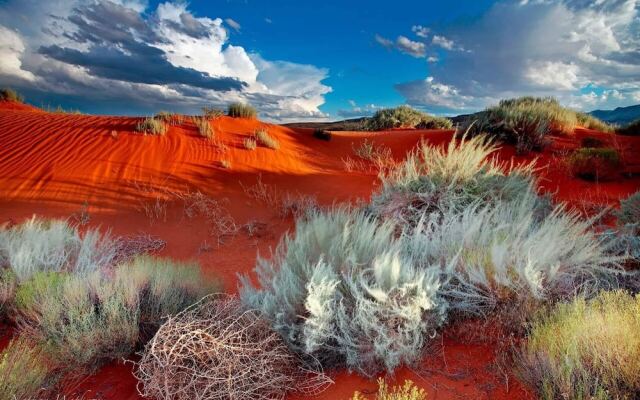 The Sunnyside Haven by RedAwning