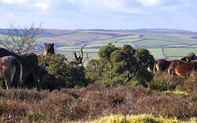 Stones Hotel Bar and Restaurant