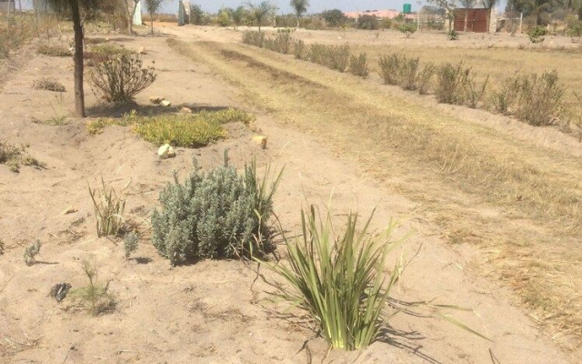 Nhaka Savaal Cottages