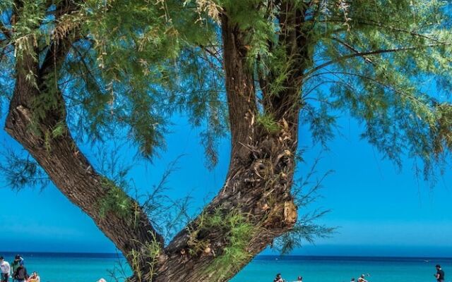 Casetta Vista Mare in Piazza a Mondello by Wonderful Italy