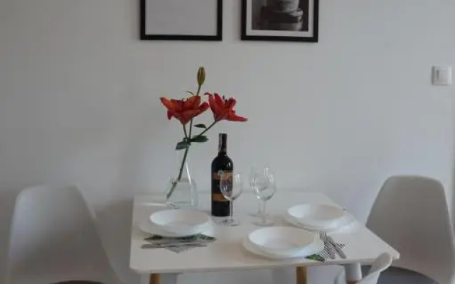 Apartament Gliwice Centrum Witkiewicza I