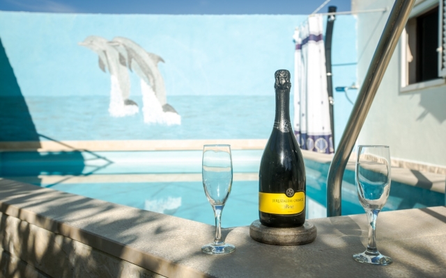 Holiday house Jaka 2 - with pool : Sumartin, Island Brac