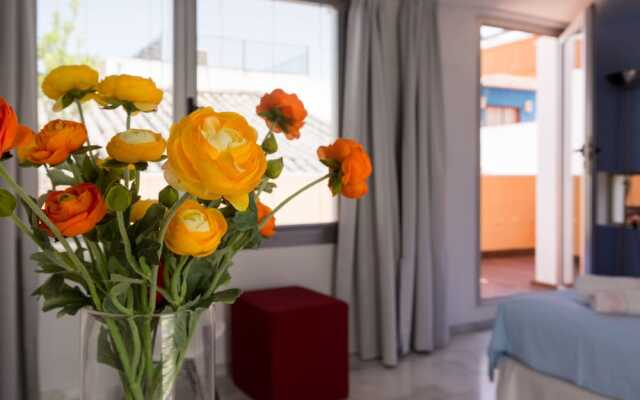 Apartamentos Con Terraza En Pleno Centro