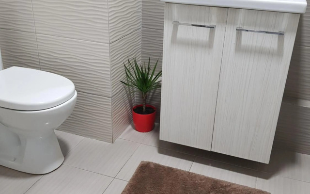 Стильные аппартаменты на Новых Домах