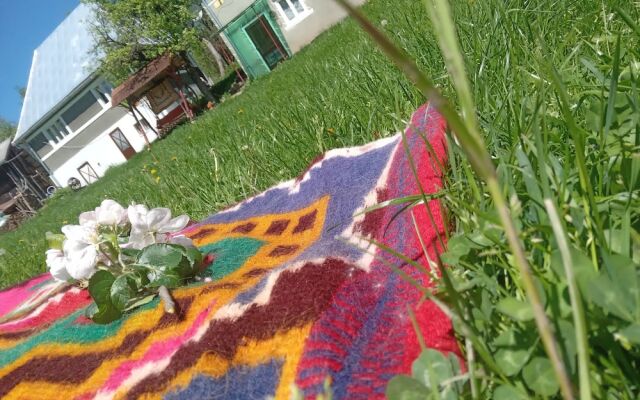 Room in Guest Room - Rural Holiday Transylvania