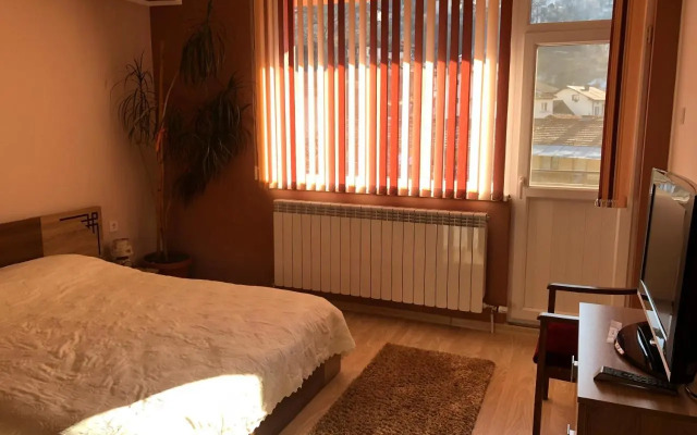 Vasilevi House