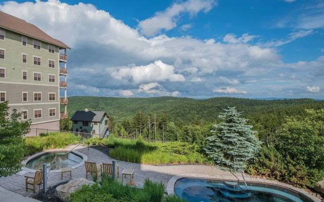 3 Br: Soaring Eagle 404