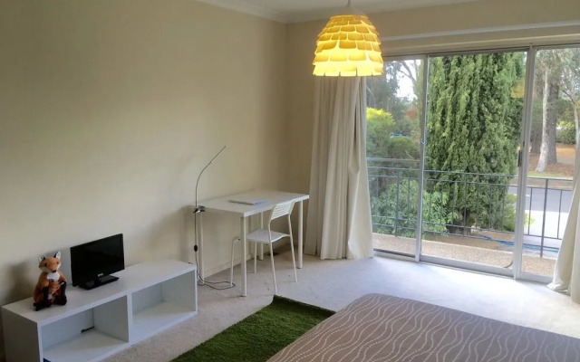 1913 Collective Inc.