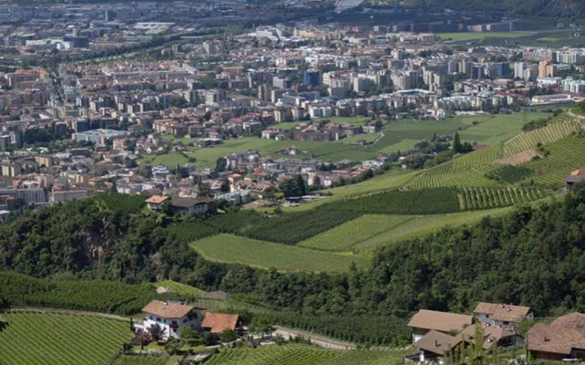 Tollhof