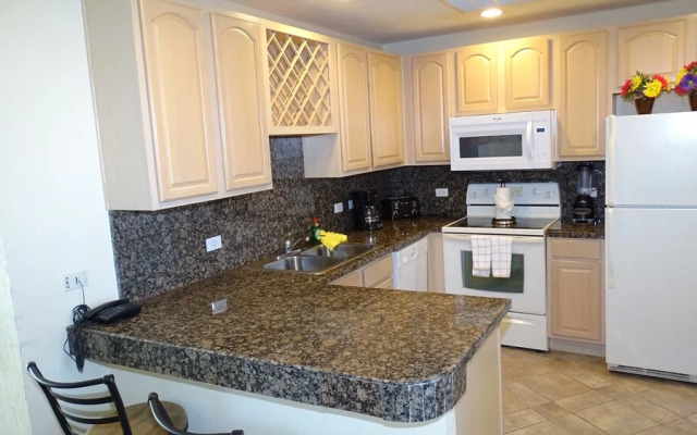 Delphin 501 - 2 Br Condo