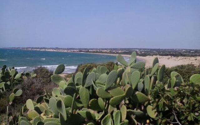Vision of The Sea