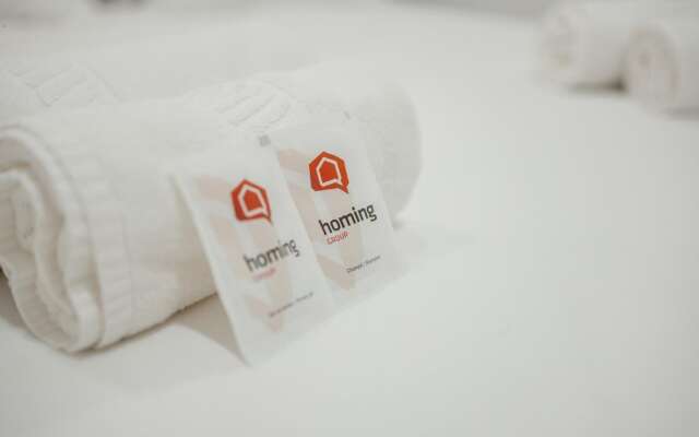 Typical House With Terrace by Homing