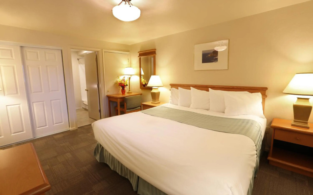 Driftwood Shores Resort And Conference Center - фото 2