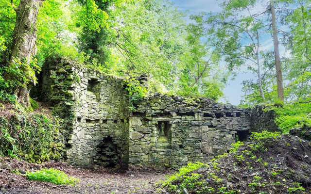 Cae Mab Dafydd