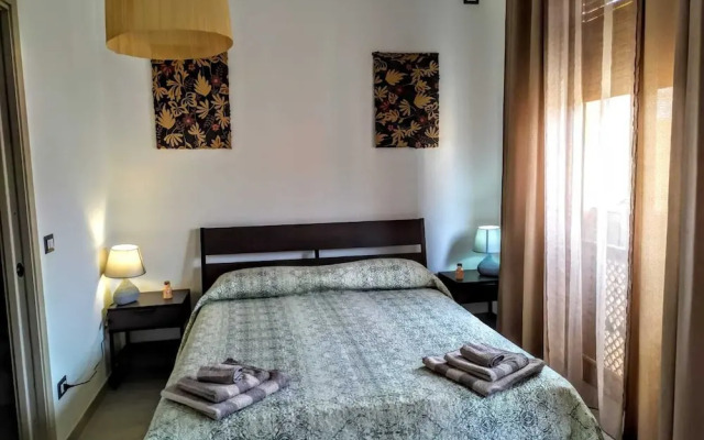 B&B Libellula