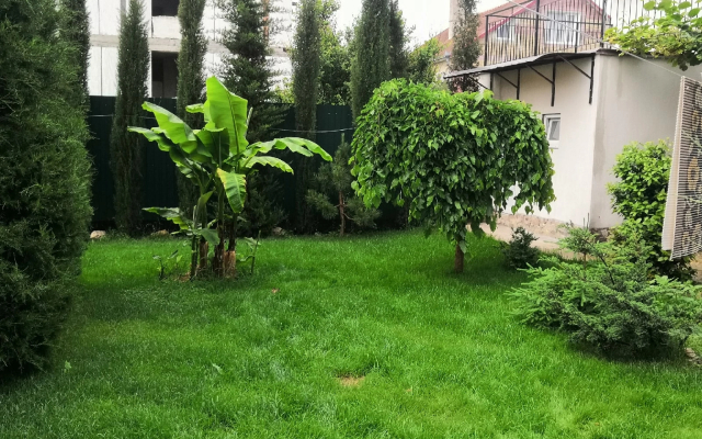 Оазис (Береговое)