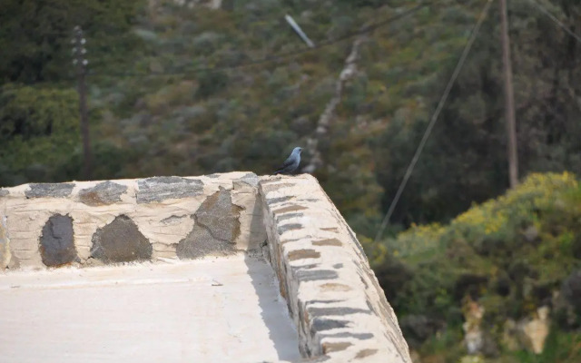 Belogna Ikons Villas