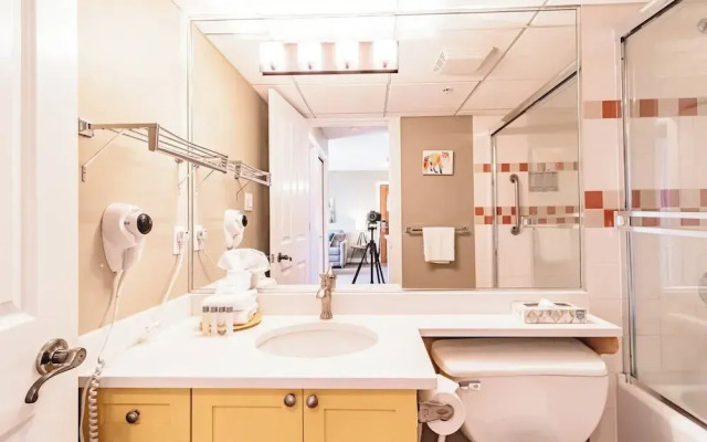 Beautiful One Bedroom Suite - 416