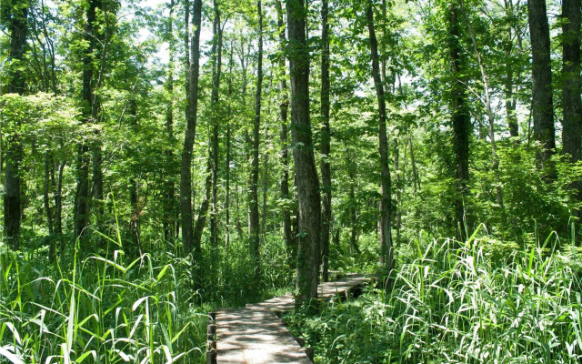 Mercure Urabandai Resort & Spa