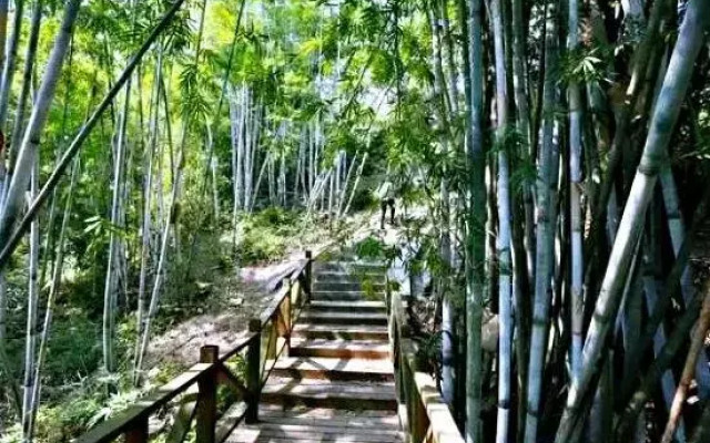 Ruiran Mizhuang Guangzhou