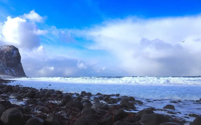 Bruunsgaard Leknes Lofoten