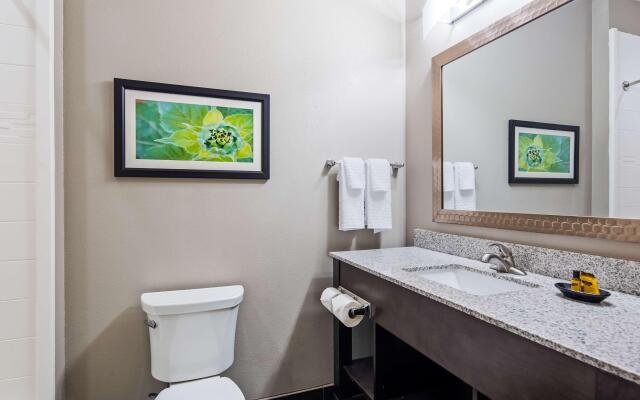 Best Western Plus Tech Medical Center Inn