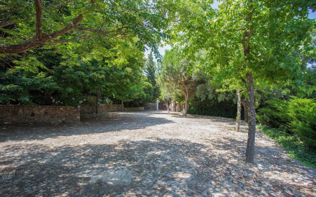 Local 9 - Casa do chapim azul