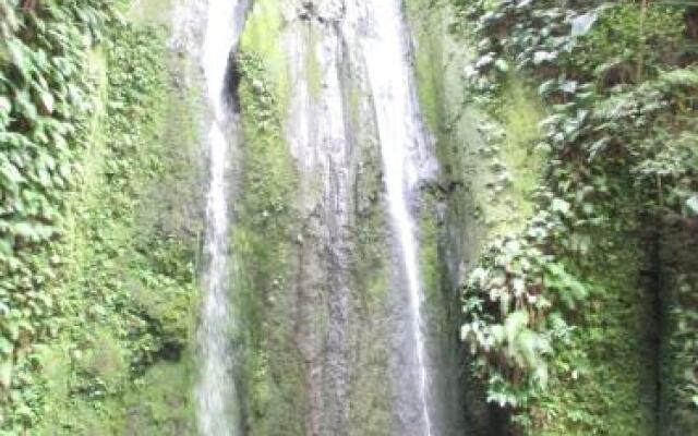 Tanna Volcano View Treehouse