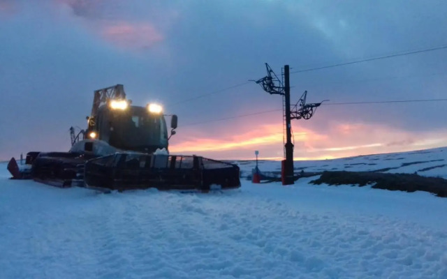 Les feignes cerfdoré