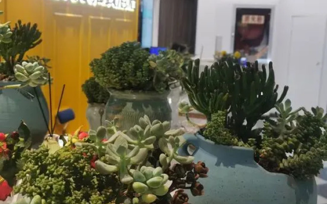 Jingyue Elegant Hotel