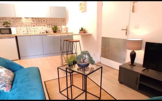 Studio rénové centre ville B1