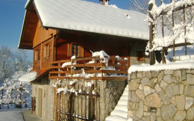 Vineyard cottage Med vinogradi