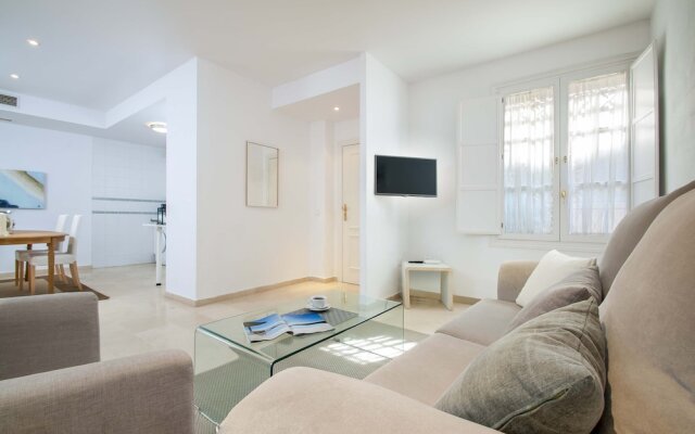 Cozy And Centrally Located 1 Bd Apartment. Conde de Ibarra