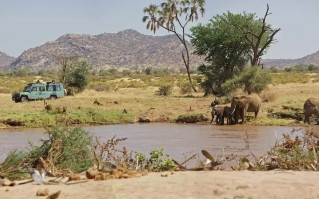 Samburu Lodge