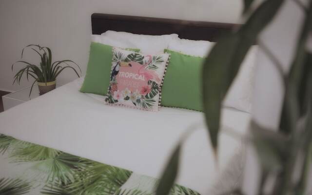 Tropica Hotel Boutique - Hostel