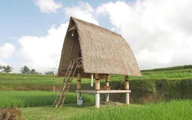 Batan Nyuh Retreat Tegallalang