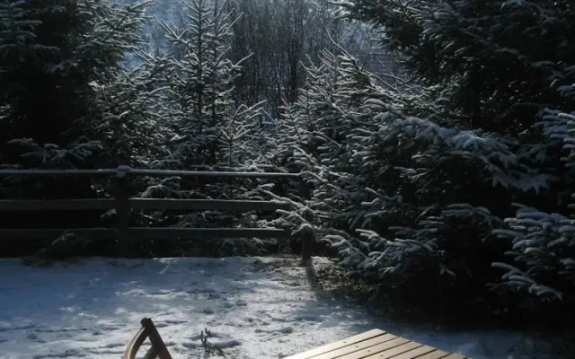 Kopaonik House