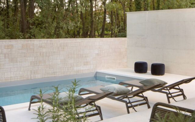 Villa E - Stunning Villa in Istria, Croatia